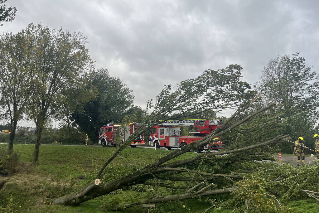 Brandweer verwijdert boom van weg