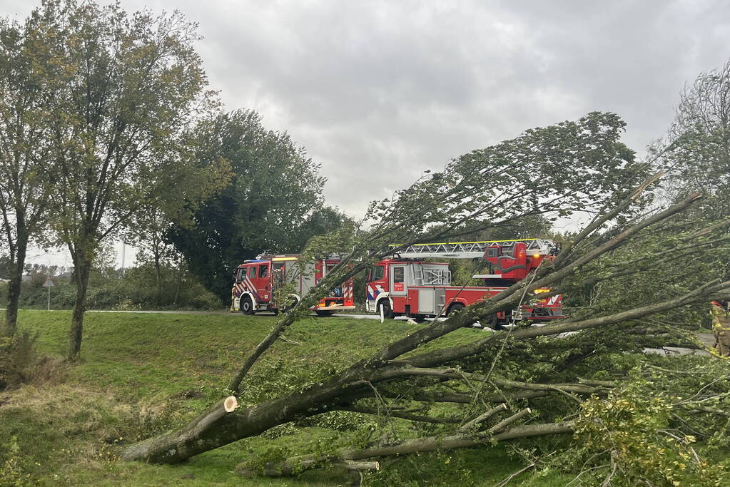 Brandweer verwijdert boom van weg