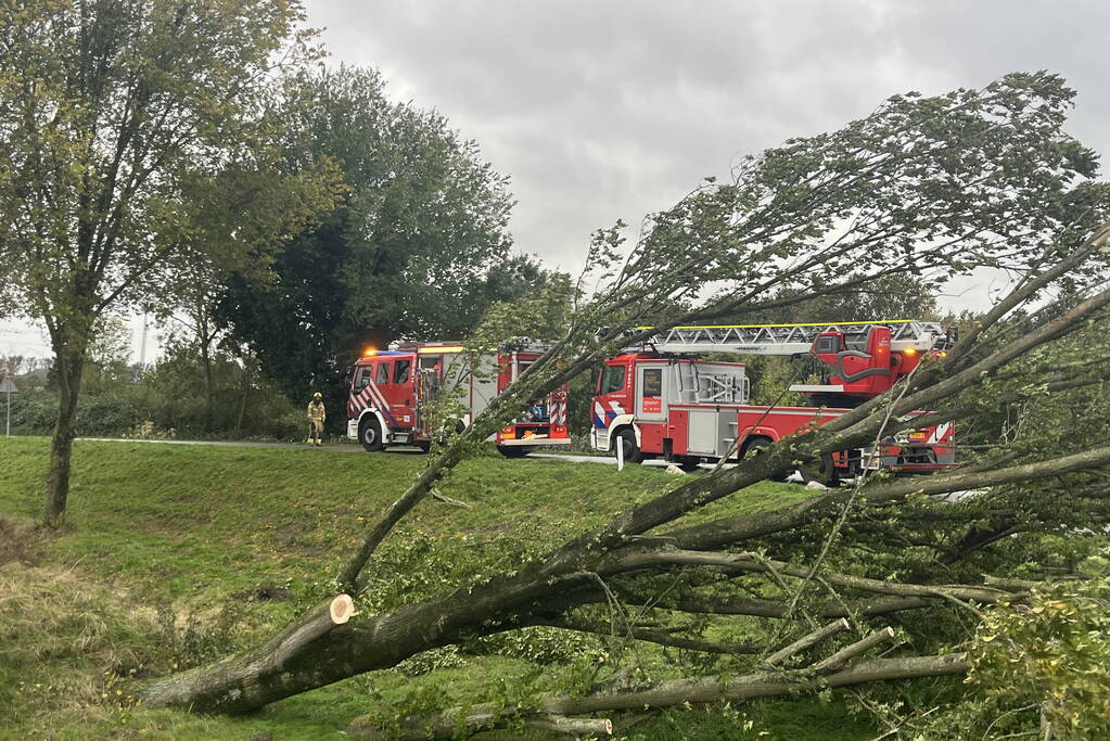 Brandweer verwijdert boom van weg