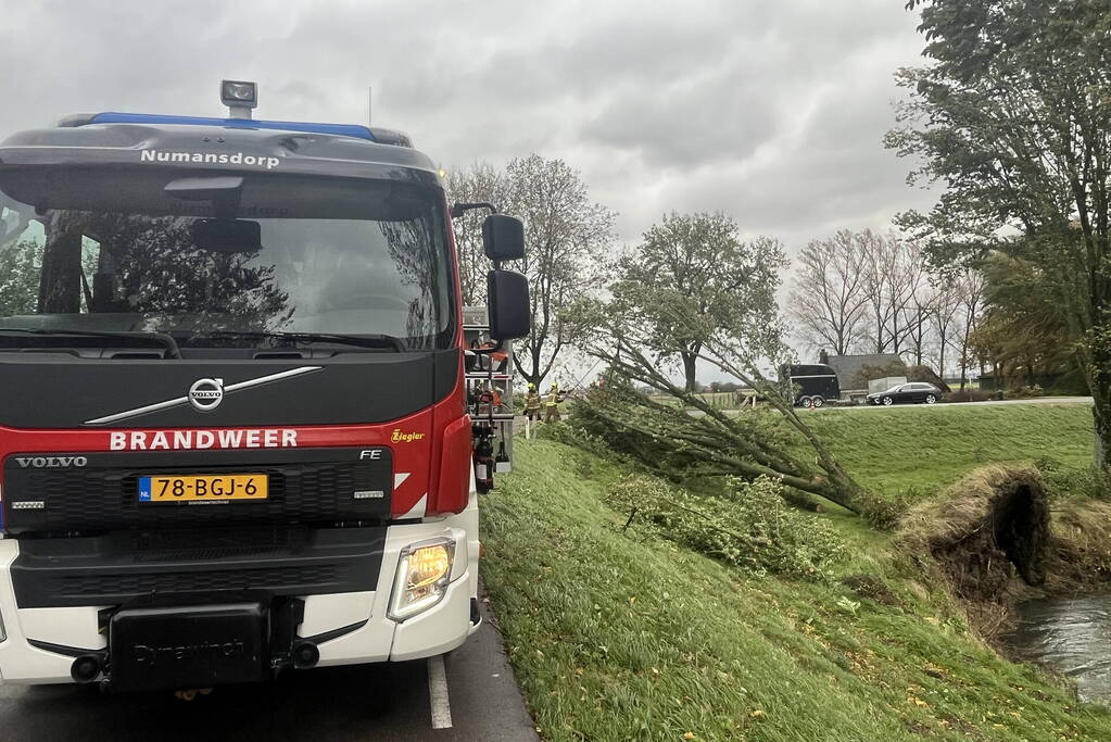 Brandweer verwijdert boom van weg