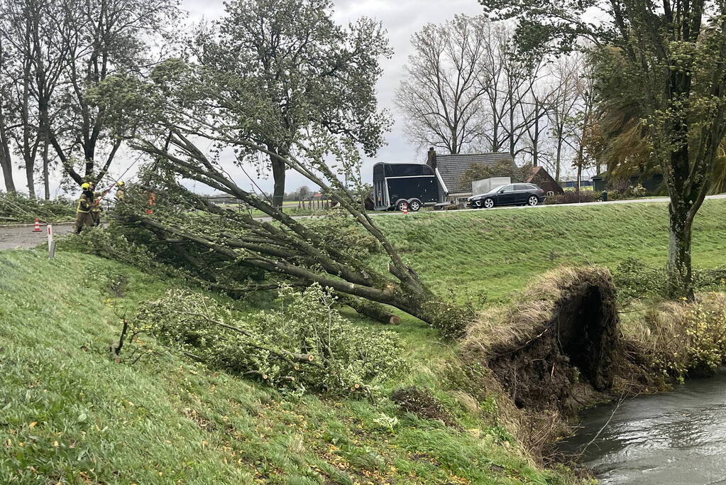 Brandweer verwijdert boom van weg