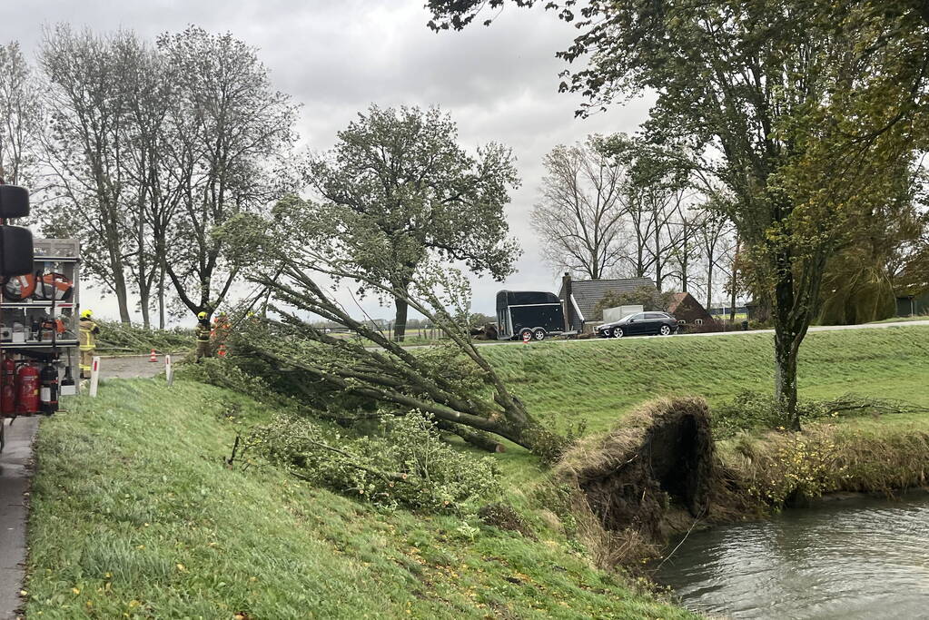 Brandweer verwijdert boom van weg