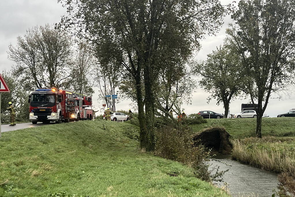 Brandweer verwijdert boom van weg