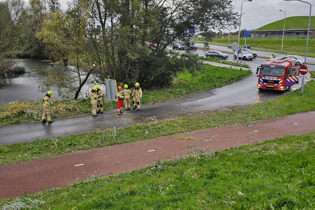 Omgevallen boom verspert weg