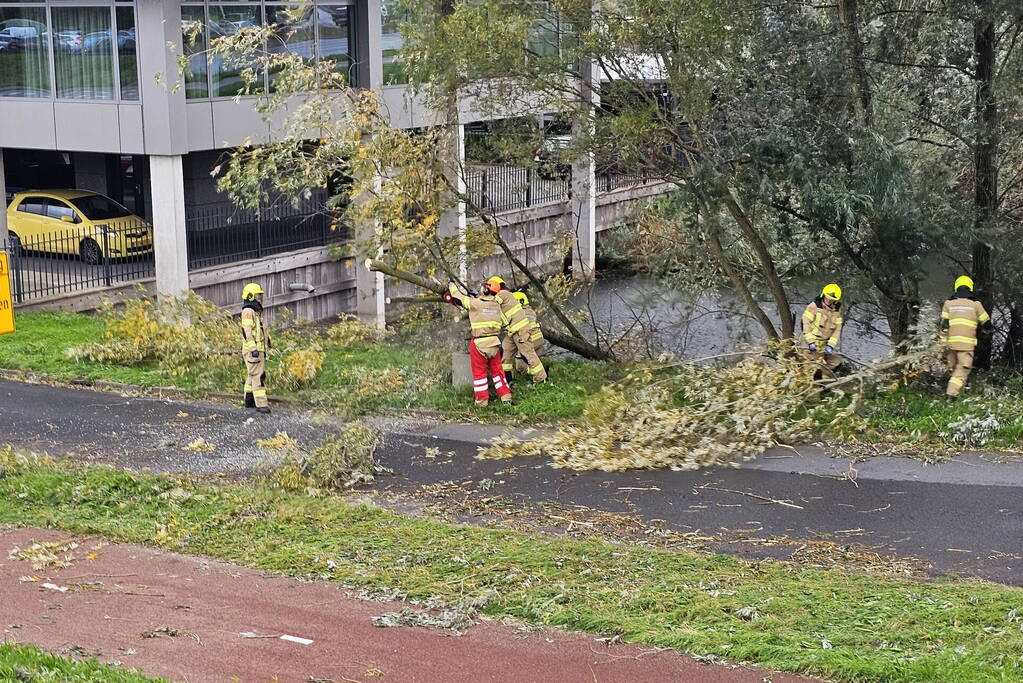 Omgevallen boom verspert weg