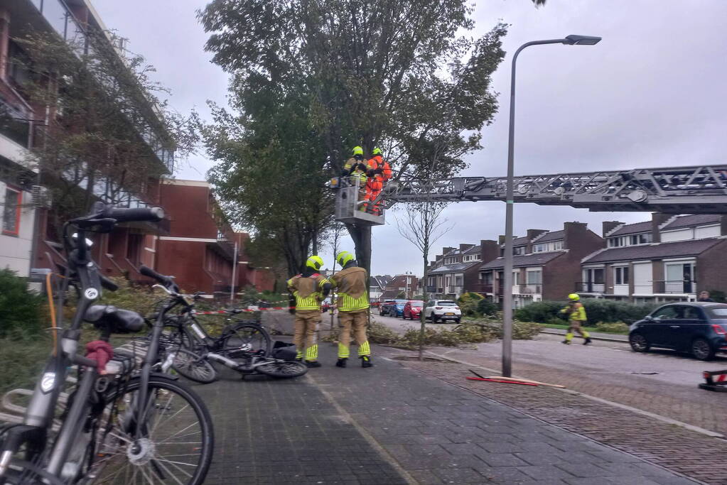 Boom dreigt door midden te breken