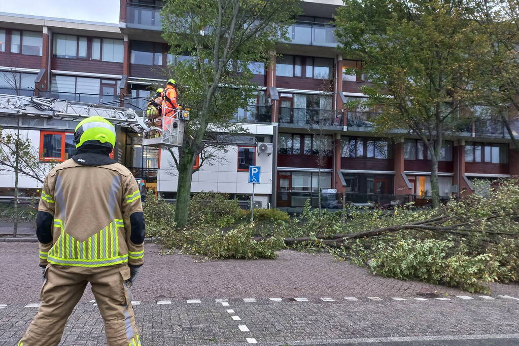 Boom dreigt door midden te breken