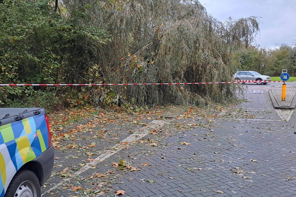 Weg verspert door omgevallen boom