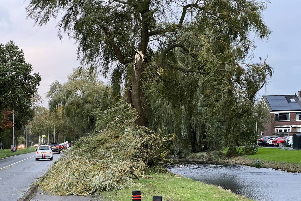 Grote tak breekt uit boom