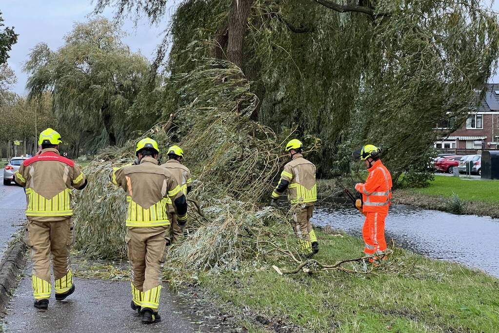 Grote tak breekt uit boom