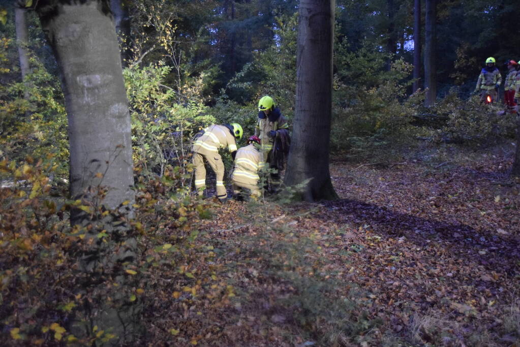 Boom dreigt op weg te vallen