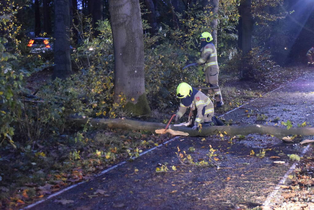 Boom dreigt op weg te vallen