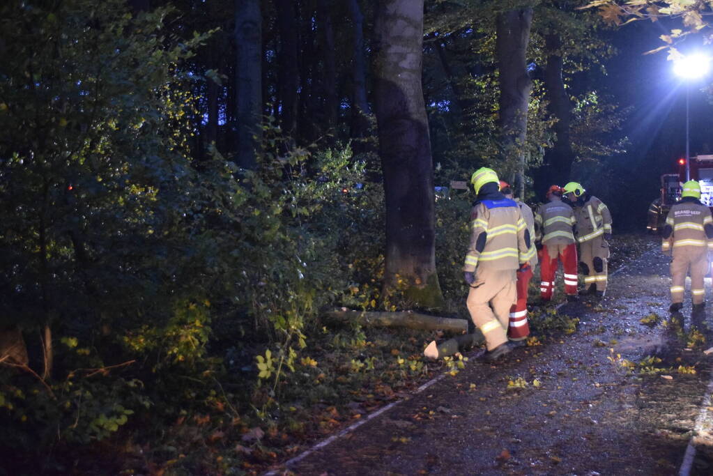 Boom dreigt op weg te vallen