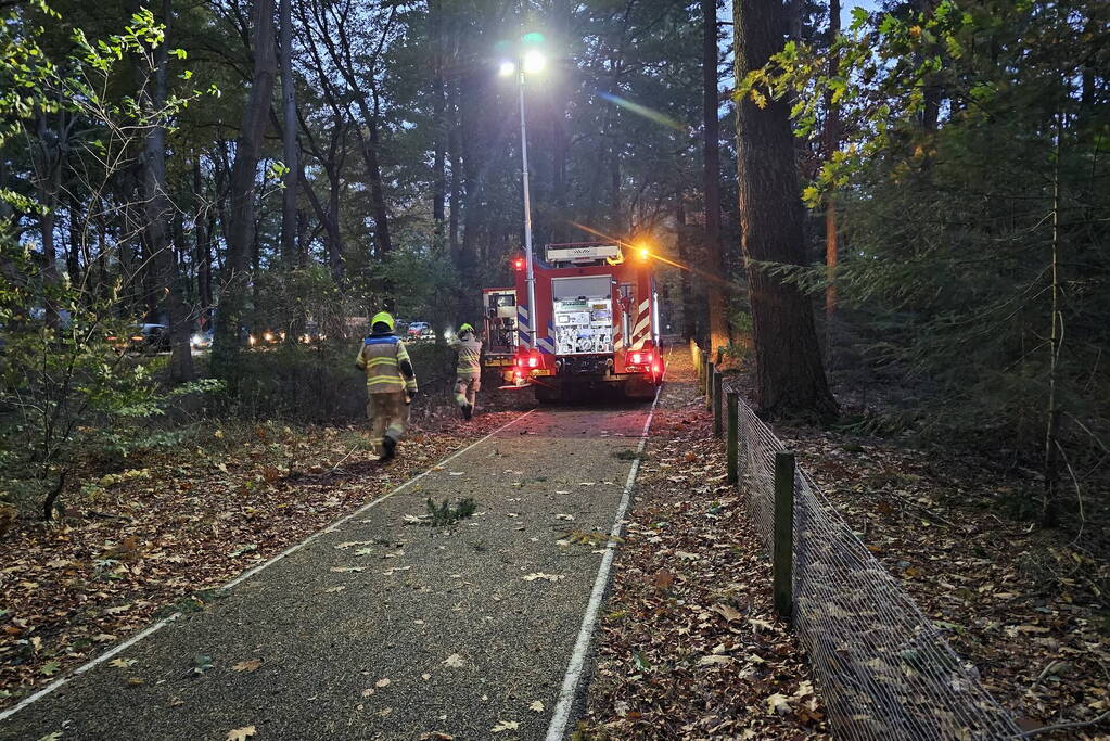 Boom dreigt op weg te vallen