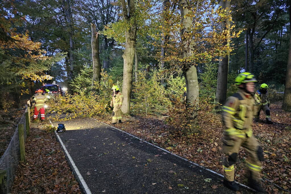 Boom dreigt op weg te vallen