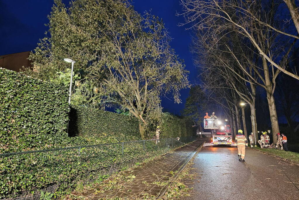 Boom dreigt op carport van huisartsenpost te vallen