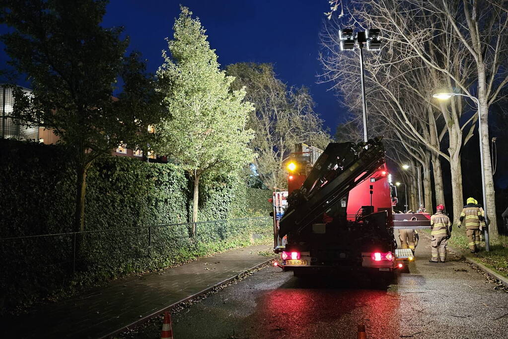 Boom dreigt op carport van huisartsenpost te vallen