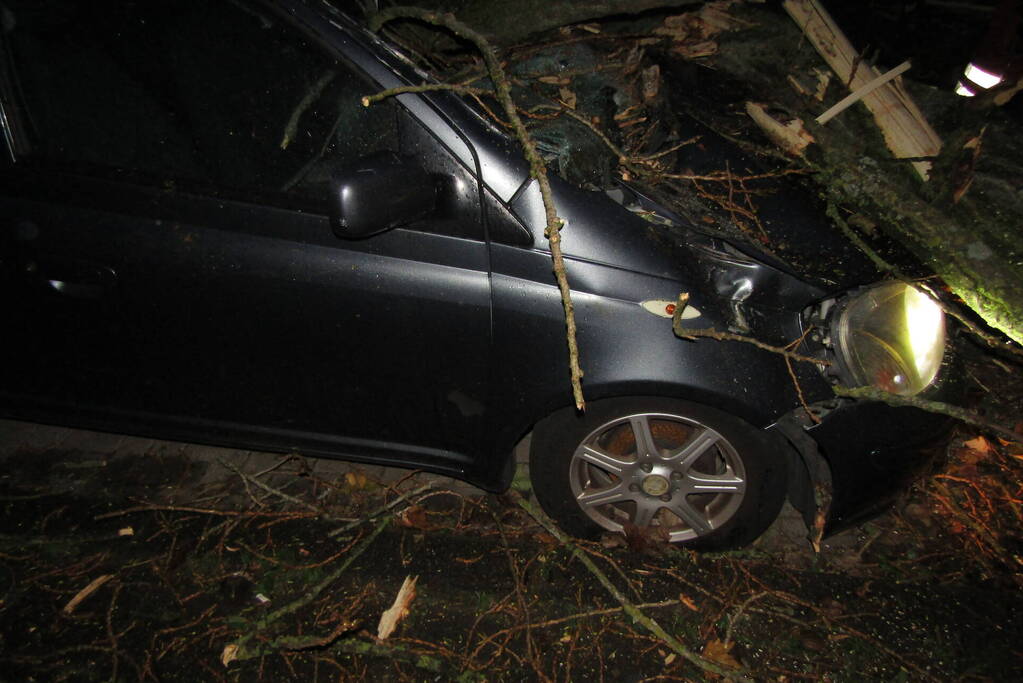 Auto zwaar beschadigd door omgevallen boom