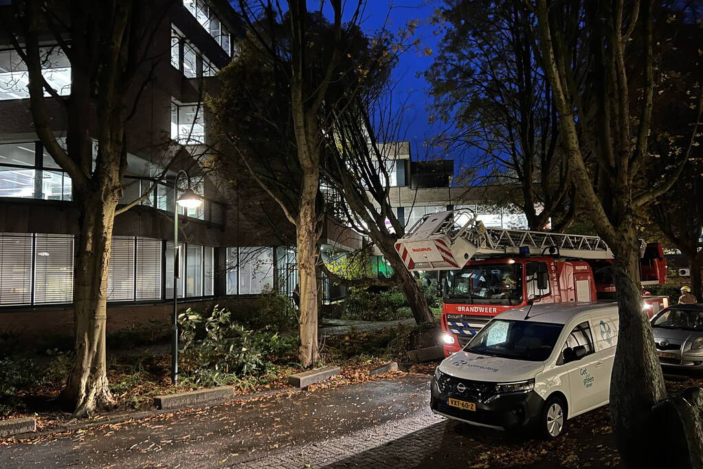 Grote boom waait tegen gebouw