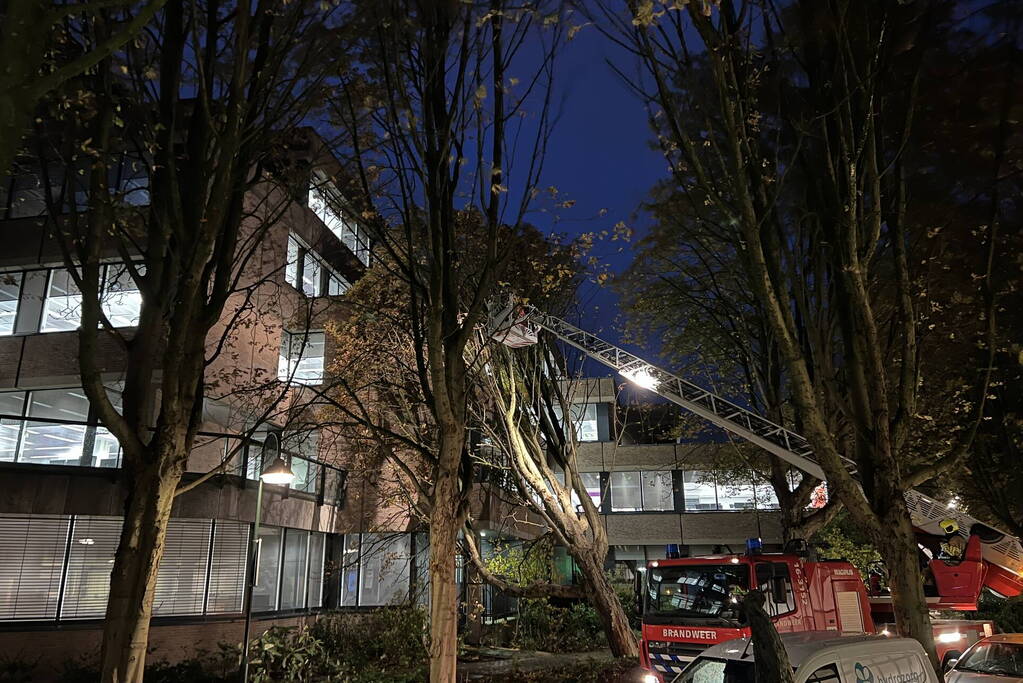 Grote boom waait tegen gebouw