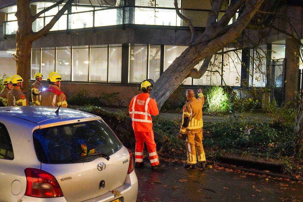 Grote boom waait tegen gebouw