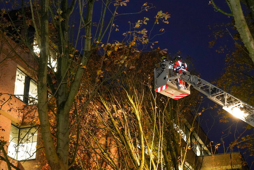 Grote boom waait tegen gebouw