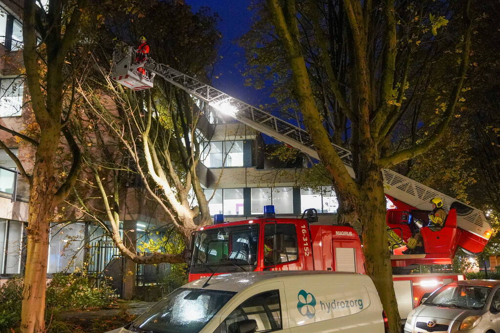 Grote boom waait tegen gebouw