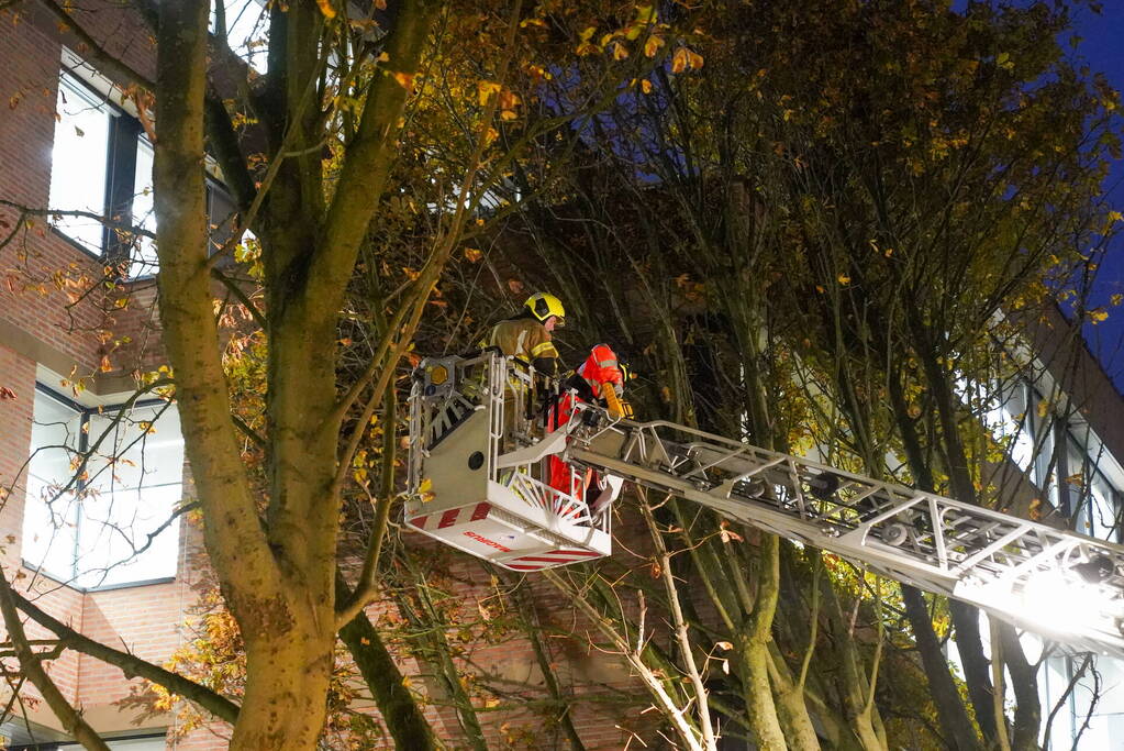 Grote boom waait tegen gebouw