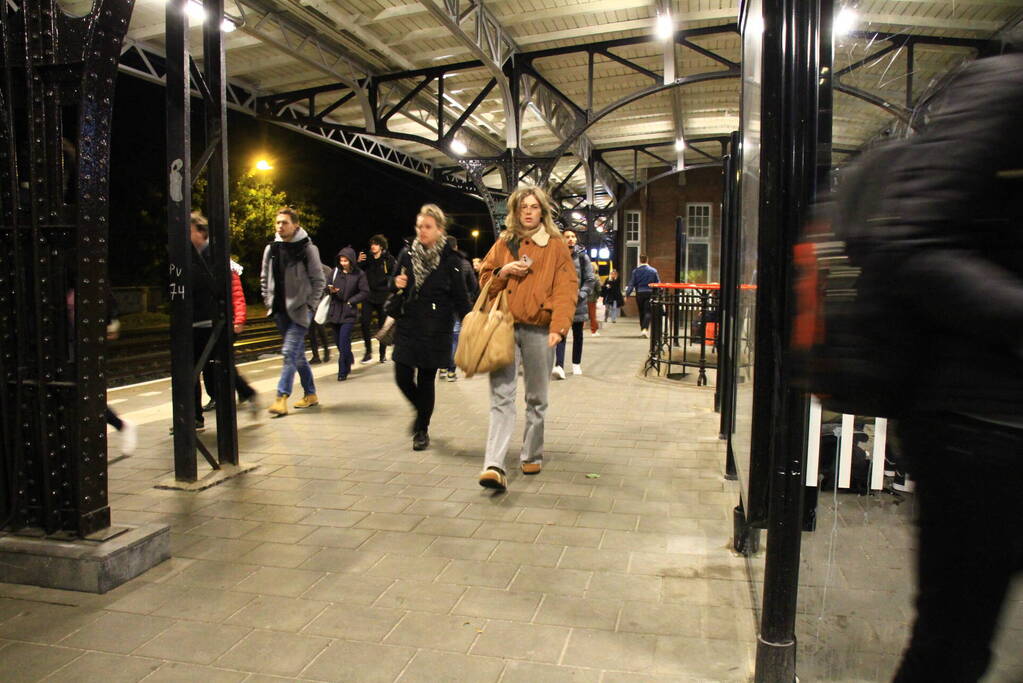 Treinverkeer stilgelegd wegens boom op spoor