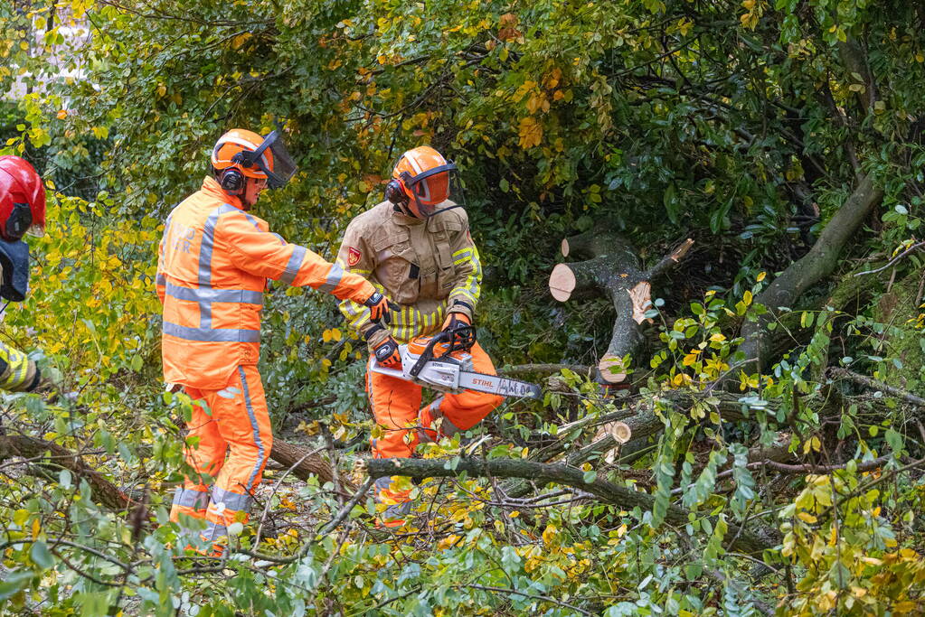 Grote boom waait om door storm