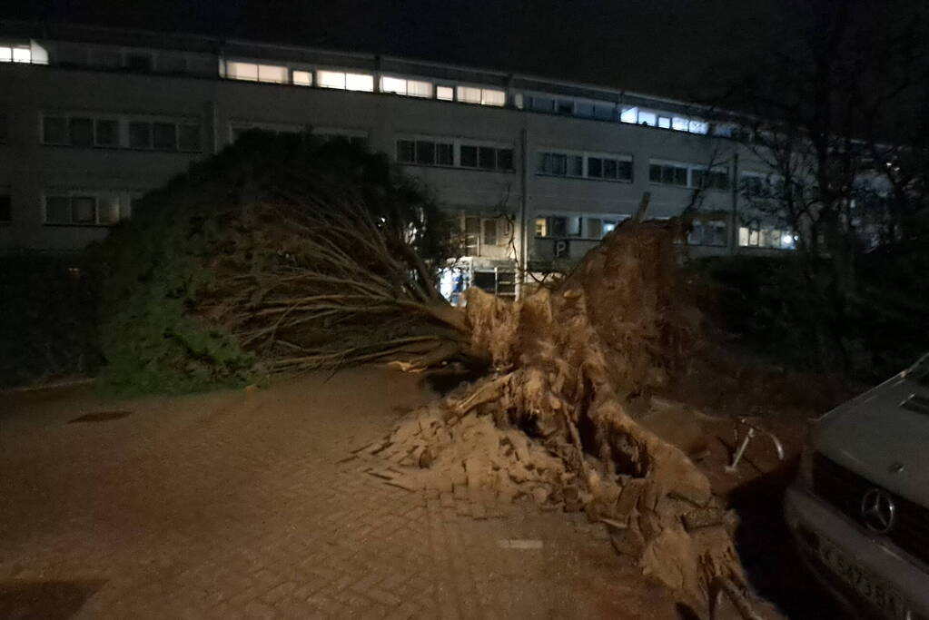 Gigantische boom valt om voor ingang van gebouw