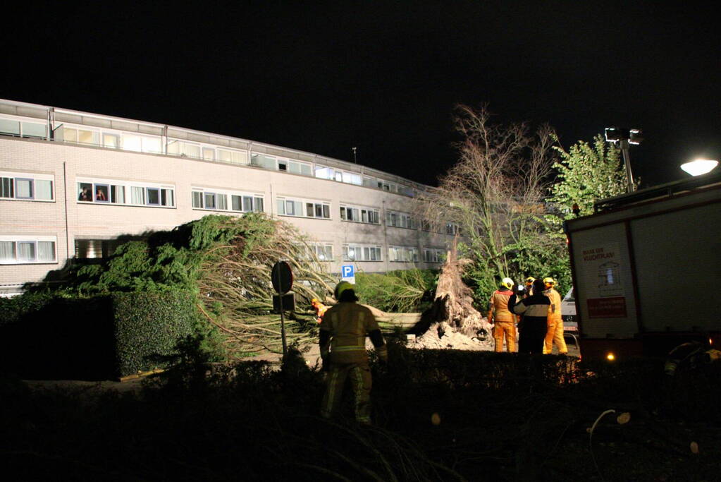 Gigantische boom valt om voor ingang van gebouw