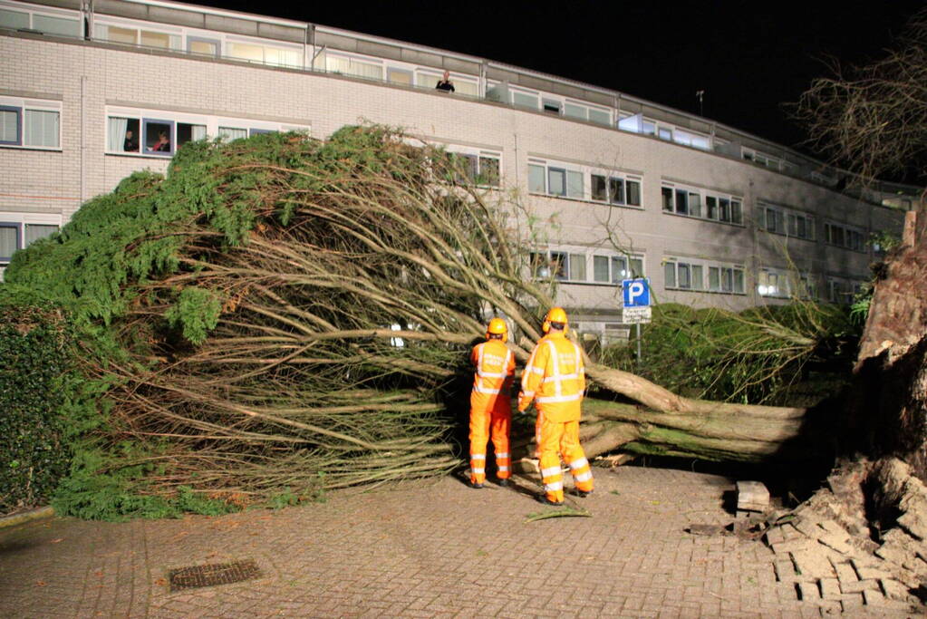 Gigantische boom valt om voor ingang van gebouw