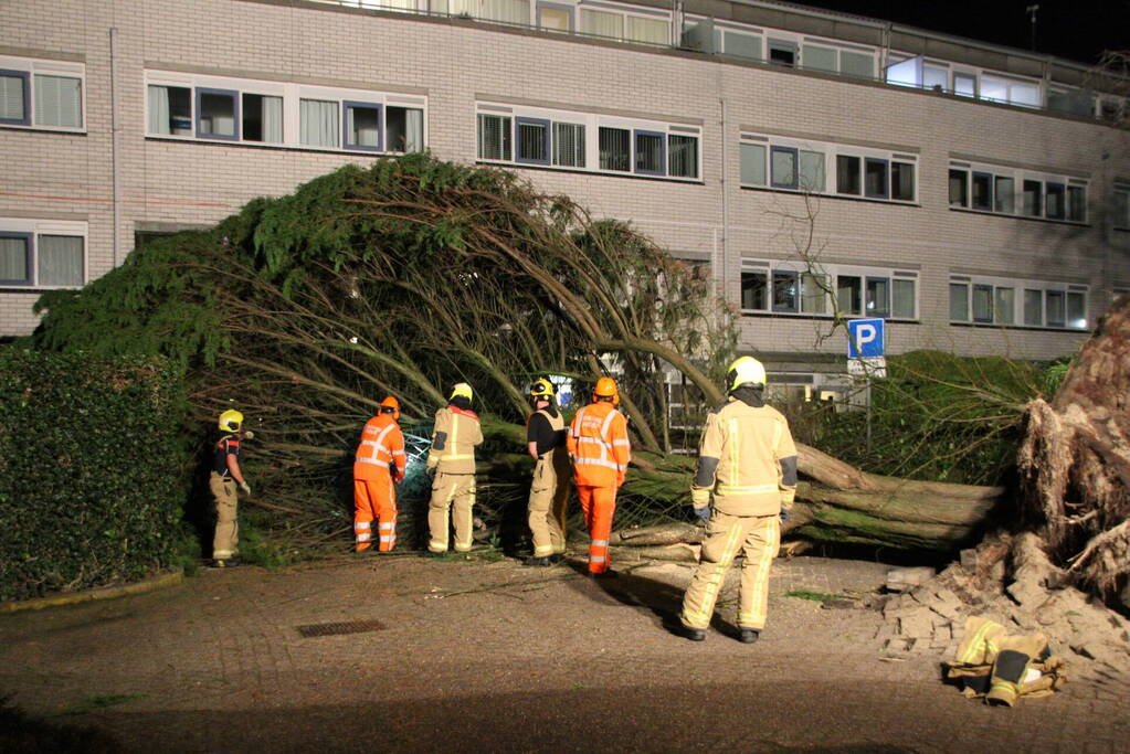 Gigantische boom valt om voor ingang van gebouw