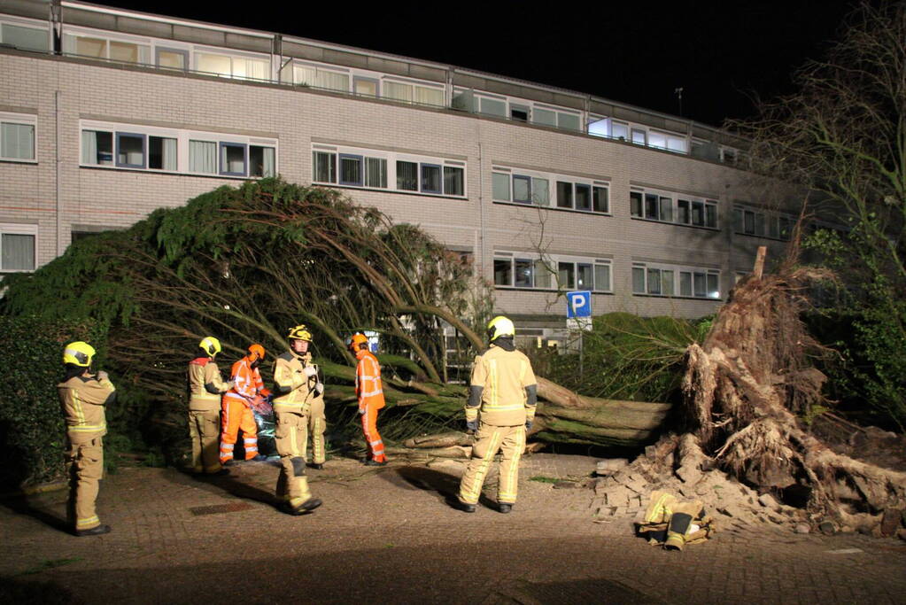 Gigantische boom valt om voor ingang van gebouw