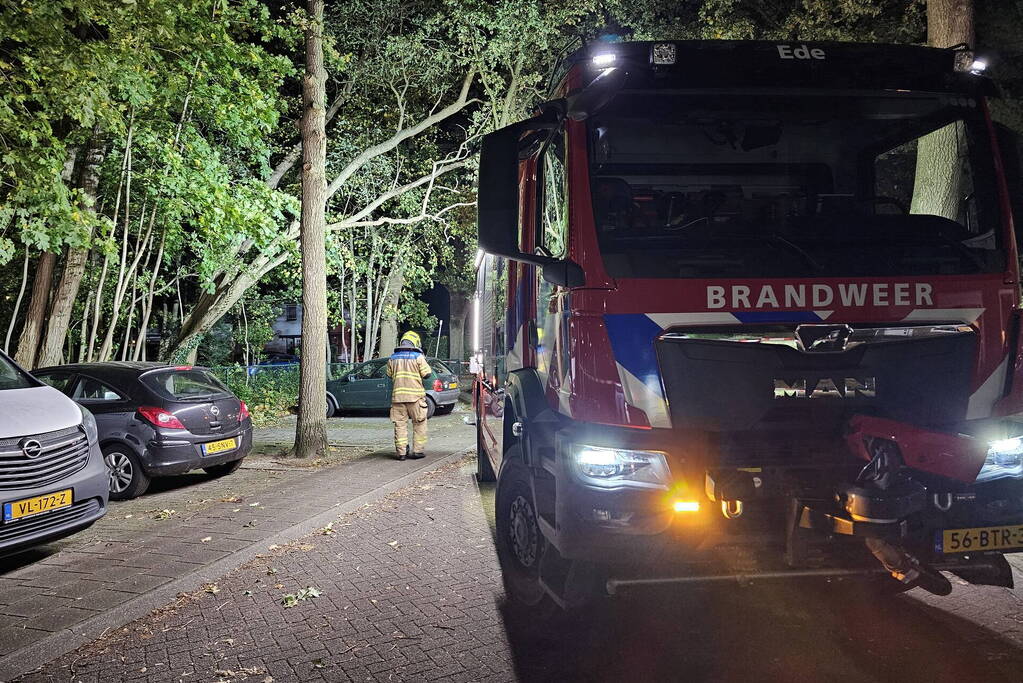 Boom dreigt op auto te vallen