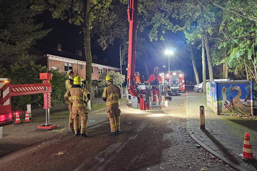 Boom dreigt op auto te vallen