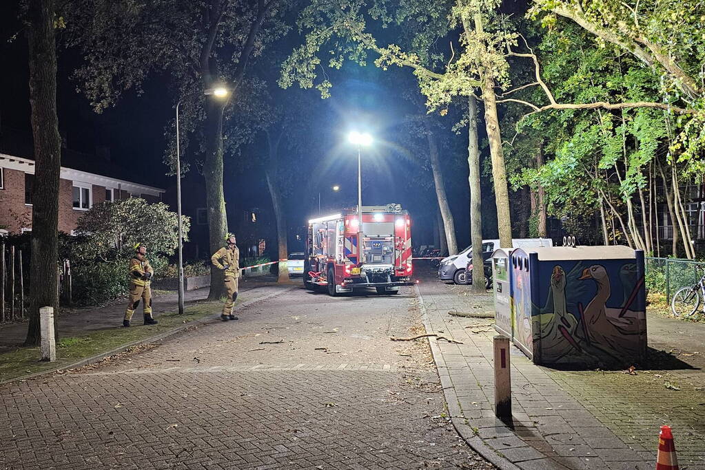 Boom dreigt op auto te vallen