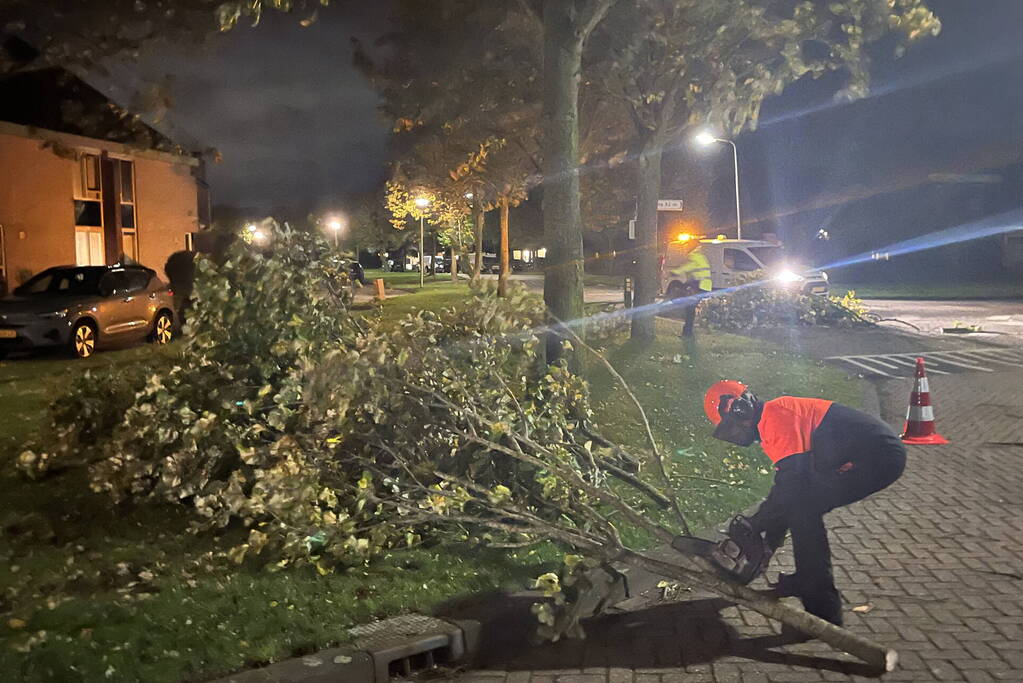 Deel van boom komt op straat terecht door harde wind