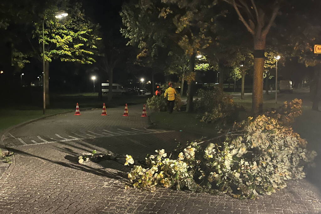 Deel van boom komt op straat terecht door harde wind