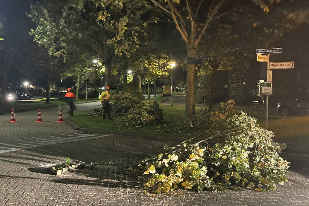 Deel van boom komt op straat terecht door harde wind