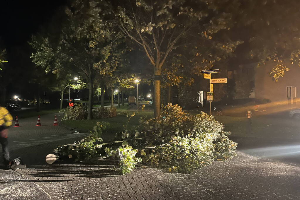 Deel van boom komt op straat terecht door harde wind