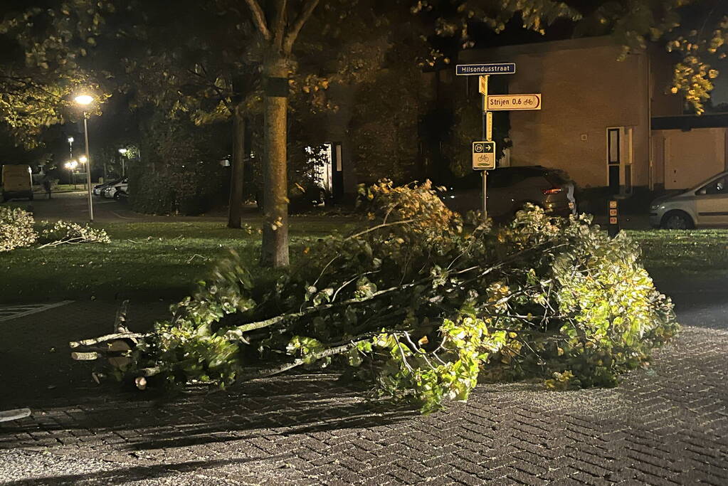 Deel van boom komt op straat terecht door harde wind