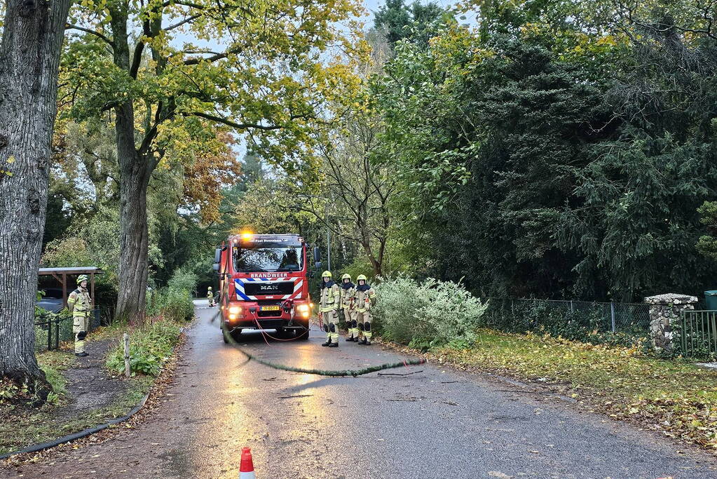 Brandweer verwijdert gevaarlijk hangende tak uit boom