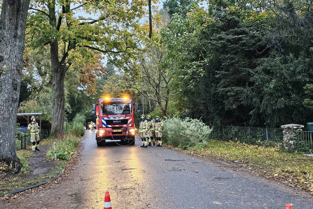 Brandweer verwijdert gevaarlijk hangende tak uit boom