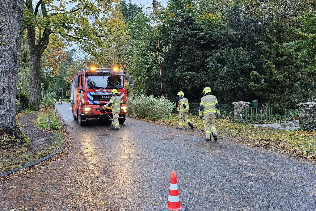 Brandweer verwijdert gevaarlijk hangende tak uit boom