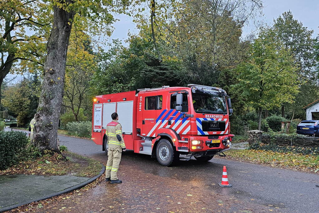 Brandweer verwijdert gevaarlijk hangende tak uit boom