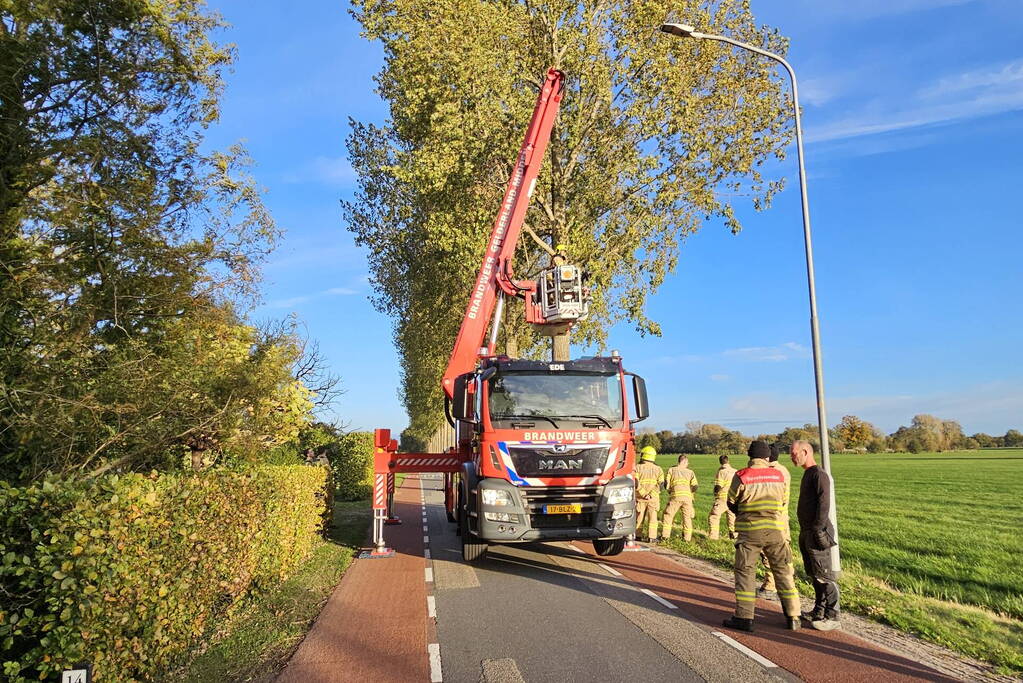 Brandweer ingezet voor gevaarlijk hangende tak