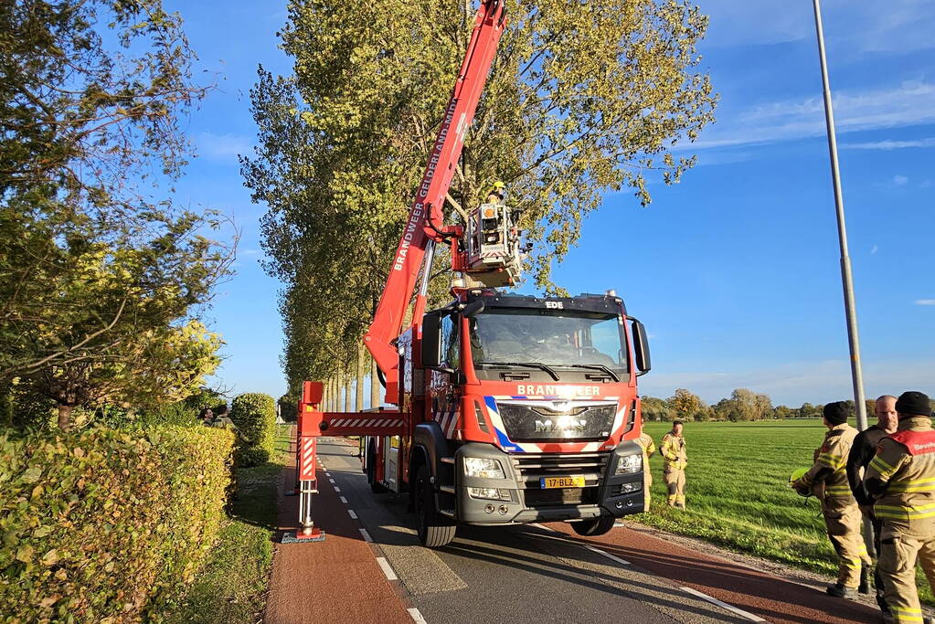 Brandweer ingezet voor gevaarlijk hangende tak