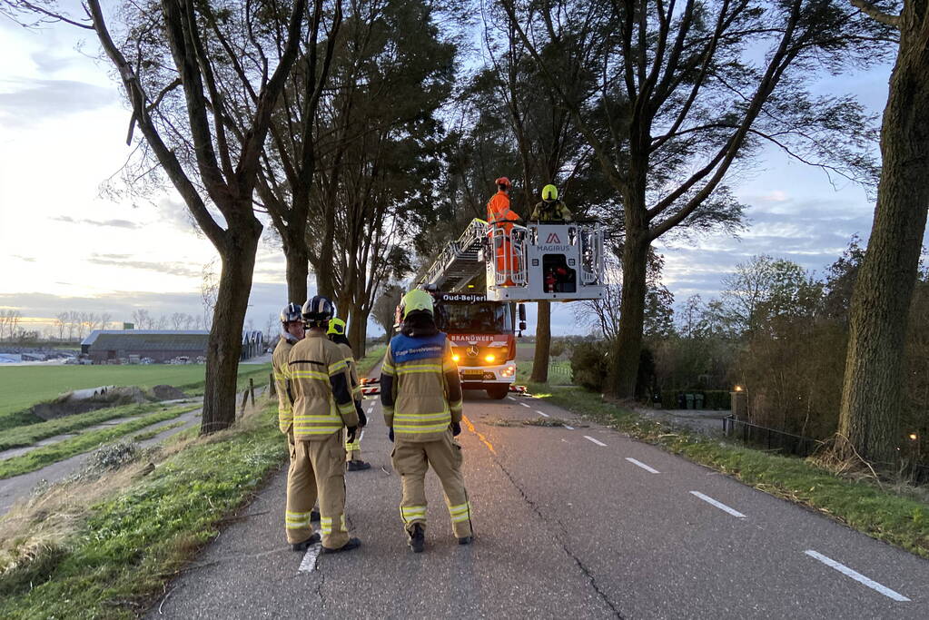 Brandweer ingezet voor afgebroken tak